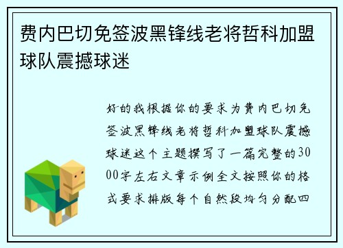 费内巴切免签波黑锋线老将哲科加盟球队震撼球迷